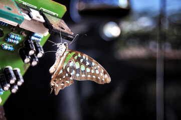 Environmentally friendly technology, makes life easier, stay healthy and beautiful