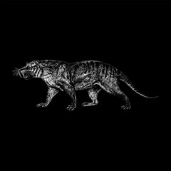 Thylacosmilus hand drawing vector isolated on black background.