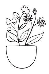 Coloring book or Coloring page for kids. Plant in Pot Drawing.