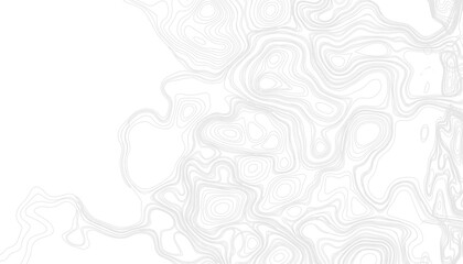 Background of the topographic map. Topographic map lines, contour background. Geographic abstract grid. Vector contour topographic map. Topography and geography map grid abstract