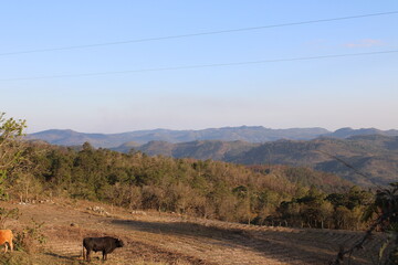 Honduras Mountains