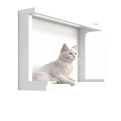 Cat window perch PNG Cutout, Generative AI