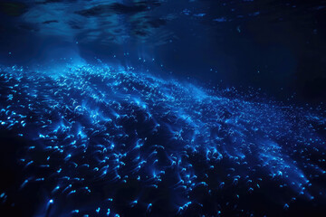 Naklejka na ściany i meble A captivating scene of a swarm of glowing krill illuminating the ocean's depths