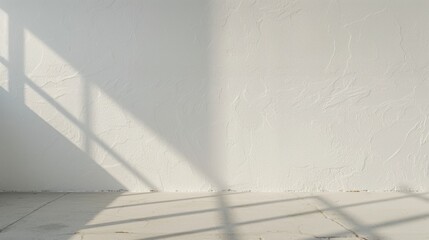 The shadows of tropical palm leaves cast on a clean white wall and floor, creating a serene, natural ambiance.
