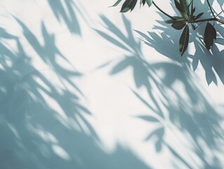 The shadows of tropical palm leaves cast on a clean white wall and floor, creating a serene, natural ambiance.