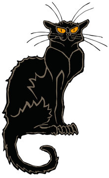 Gato negro