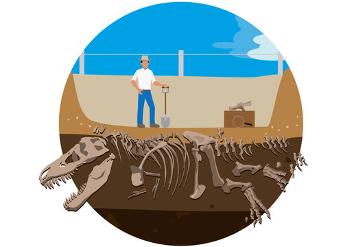 Excavaci&oacute;n de f&oacute;siles