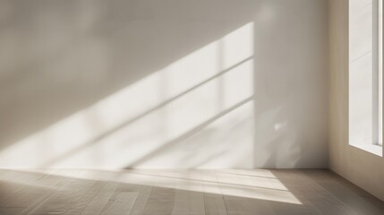 Empty room, Morning light creates shadows on a textured white concrete wall and floor.