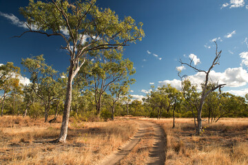 Agate Creek Fossicking Area, near Forsayth, North Queensland, Australia