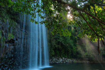 Millaa Millaa Falls in Atherton Tableland, Queensland, Australia, cascades gracefully amidst lush...