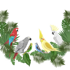 Parrots Ara, Jaco, wavy,cockatoo parrot , Corella on tropical branches on a white background. A vector sign, a postcard for summer designs.