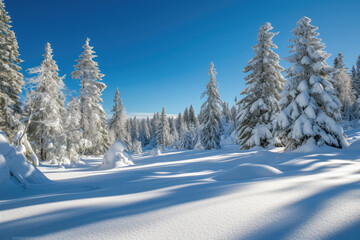Obraz premium snow-covered landscape with evergreen trees and a clear blue sky.
