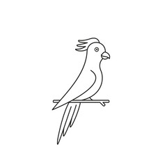Sitting parrot line icon. Vector pet outline illustration