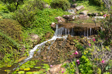 Mini cascadas de un arroyo parte de un jardin japones lleno de vegetacion vista lateral