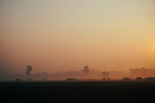 The villages of Bangladesh are covered in fog on winter mornings. The sun is not found..
