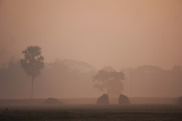 In the region of Bangladesh, Sometimes the sun is not visible during winter, during which the...