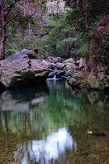 Naklejka na ściany i meble Discover the tranquility of a hidden rainforest creek near Cairns, Queensland. Nature's gentle whispers in a lush sanctuary