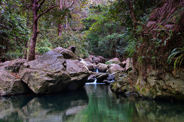 rainforest stream, Far North Queensland, Australia