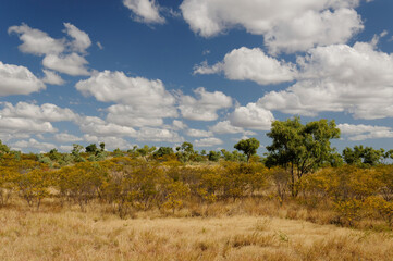 Scenery near Cloncurry, Outback Queensland, Australia