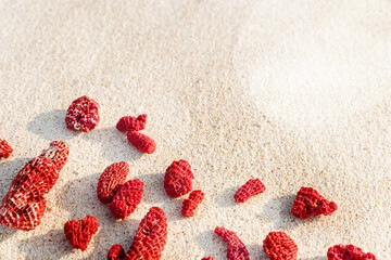 Natural Red Corals Composition on beach sand background. Minimal flat lay of variety shapes coral pieces on sandy coastal sea. Creative top view photo pattern at sunlight. Tranquil, harmony scene