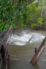 Outback Creek in flood, Queensland, Australia