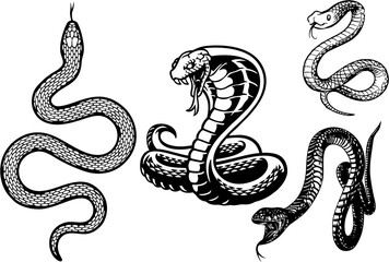 Viper poisonous snakes set in engraving style. serpent cobra and python, anaconda or viper, royal in high quality. Easy to reuse in designing video games or poster and banner.