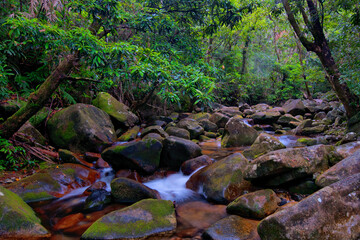 Discover the tranquility of a hidden rainforest creek near Cairns, Queensland. Nature's gentle...