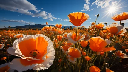Foto op Plexiglas A striking tangerine orange field of poppies swaying in the breeze © Tae-Wan