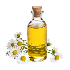 fresh raw organic chamomile oil in glass bowl png isolated on white background with clipping path. natural organic dripping serum herbal medicine rich of vitamins concept. selective focus