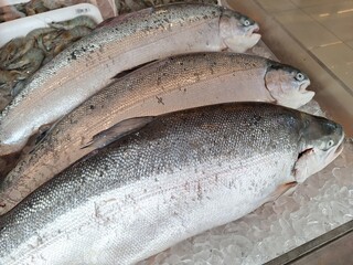 the raw salmon on the table was frozen using ice cubes