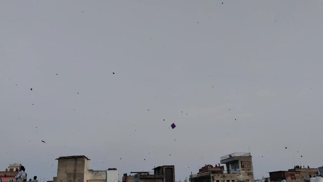 Cityscape view of pink city Jaipur shot on festival of Makar Sankranti during daylight