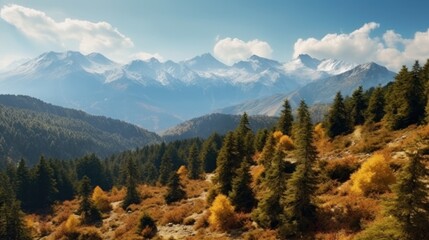 forest in colors of autumn with mountain background