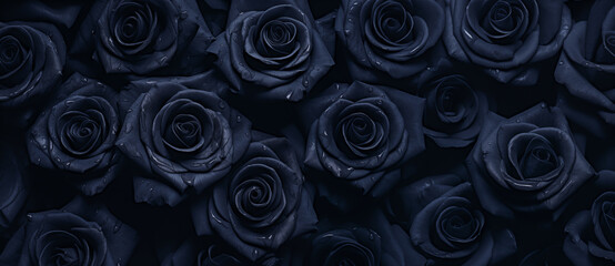 Beautiful dark flowers background. Collection of garden navy blue roses flowers, leaves.  Botanic illustration purple, blue, black background by Vita for copy space text, clip art, mobile.  - obrazy, fototapety, plakaty