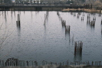 The foundation of an unfinished building filled with water