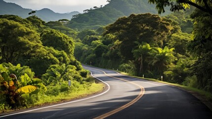 A winding road surrounded by lush tropical greenery