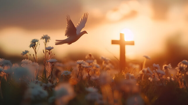 Winged Dove flying in front of the cross at sunset. Christian concept