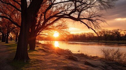 Silhouetted trees along a riverbank as the sun sets in the distance