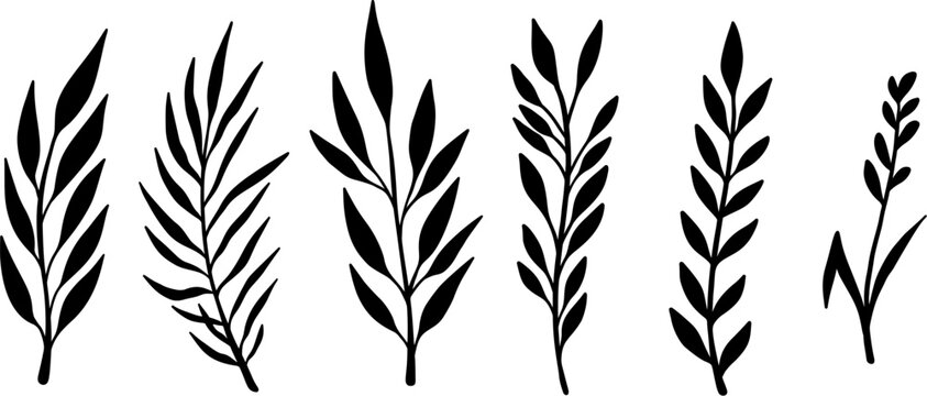 Set of hand drawn floral branches. Design element for decoration. Vector illustration