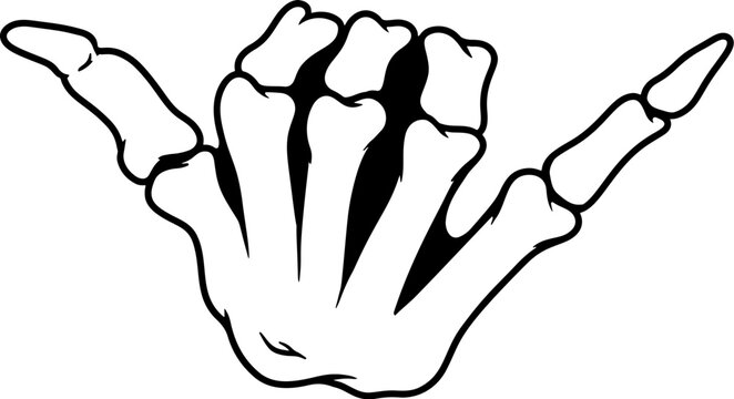 Skeleton hand with shaka sign. Vector illustration