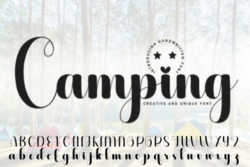 signature Font Calligraphy Logotype Script Brush Font Type Font lettering handwritten