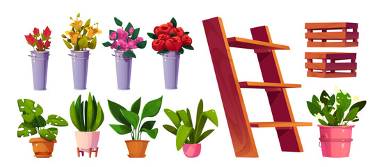 Flower shop design set isolated on white background. Vector cartoon illustration of wooden shelf and crates, bunches of color roses, lilies in metal bucket vases, green plants in pots, florist store