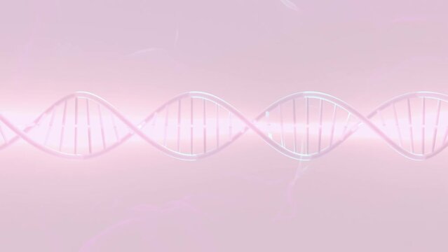 DNA molecule pink color. can be used in education, science or cosmetics industry background. Element animation seamless loop. 3D Render.