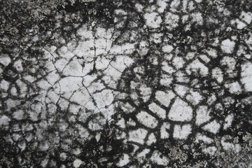 Cracked earth texture on the concrete wall 