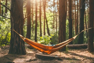 Getting Started with Camping Hammock professional photography