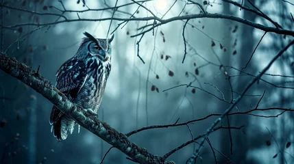 Foto op Aluminium Craft an artistic double exposure of a wise old owl perched amidst the branches of a mystical, moonlit forest © colorful imagination