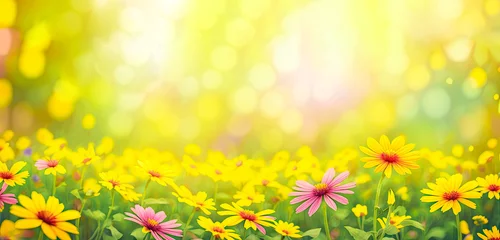 Gordijnen Summer spring natural flower background banner. Wildflowers on bright sunny day with beautiful bokeh. Sunny garden in sunlight on nature outdoors. wide banner format © Muhammad Shoaib