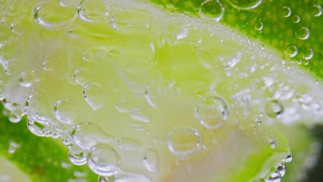 Bubbly Drink and Lime Slices in Glass Cup Close Up. Making Sour Alcoholic Cocktail of Vodka or White Rum at Home on Studio Shot in Macro. Drinking Sparkling Water as Detox Fluid or Pure Mineral Aqua