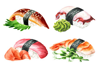 Nigiri Maki  Sushi Set, Hand drawn watercolor illustration,  isolated on white background