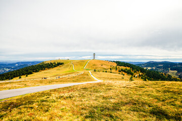 Landscape in autumn at Feldberg in the Black Forest. Hiking trail at the Feldberg tower on the...