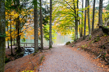 Landscape in autumn at Feldberg in the Black Forest. Feldbergsteig hiking trail. Nature at Feldsee in the Breisgau-Hochschwarzwald district in Baden-Württemberg.
